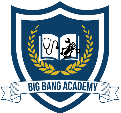 Bigbang Academy